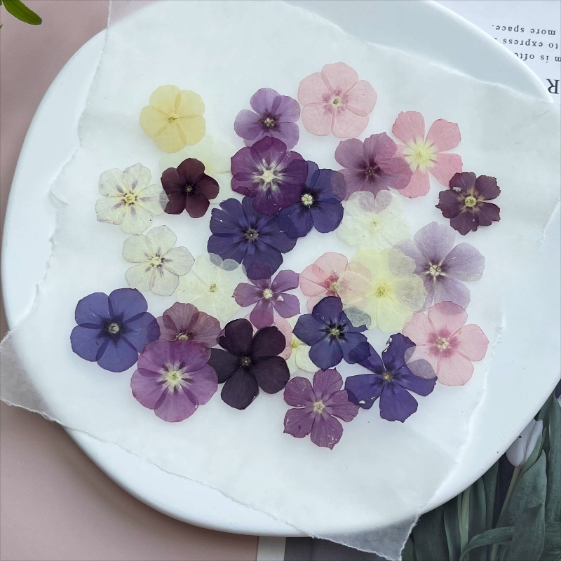 12pcs,Semi-Transparent Niche P - Resin Art Liquid のレビューと価格