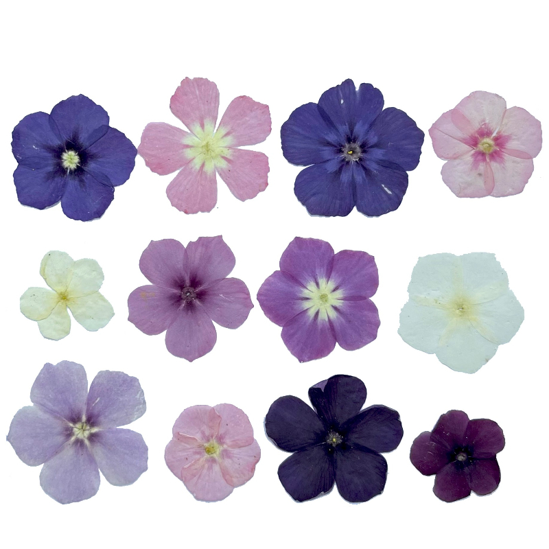12pcs,Semi-Transparent Niche P - Resin Art Liquid のレビューと価格